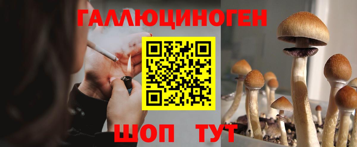 Галлюциногенные грибы Cubensis Бор